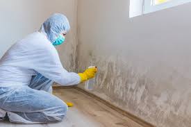 Mold Remediation for Rental Properties in Williamsburg, IA